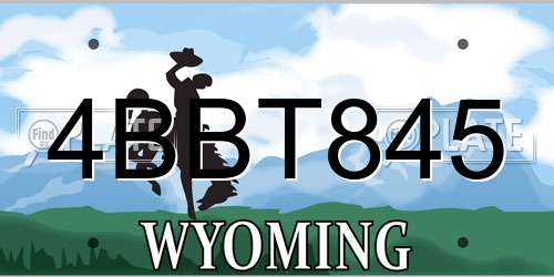 4BBT845 Wyoming License Plate