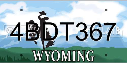 4BDT367 Wyoming License Plate