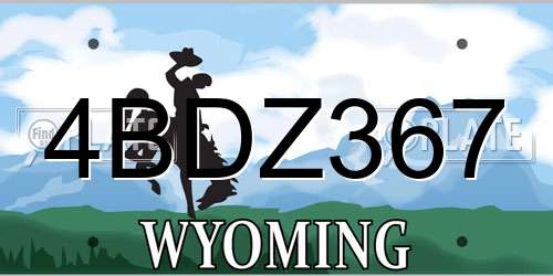 4BDZ367 Wyoming License Plate