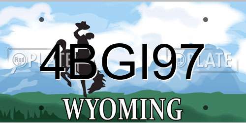 4BGI97 Wyoming License Plate