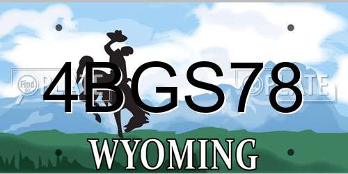 4BGS78 Wyoming License Plate