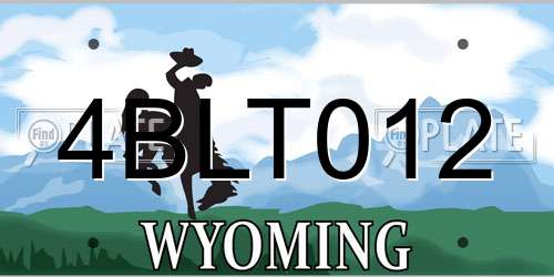 4BLT012 Wyoming License Plate