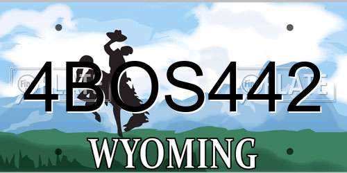 4BOS442 Wyoming License Plate
