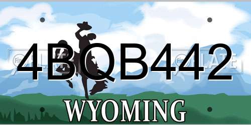 4BQB442 Wyoming License Plate