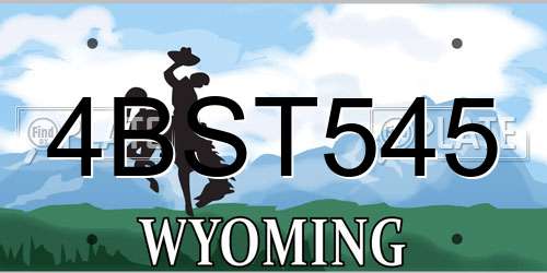 4BST545 Wyoming License Plate