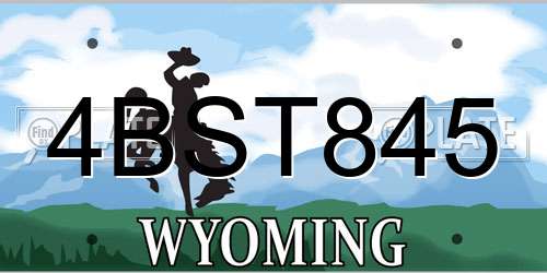 4BST845 Wyoming License Plate