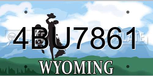4BU7861 Wyoming License Plate
