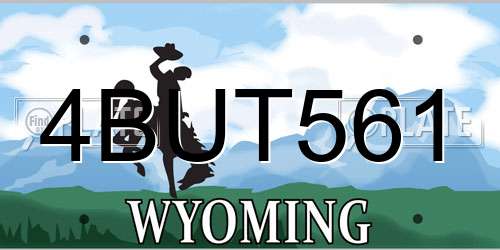 4BUT561 Wyoming License Plate