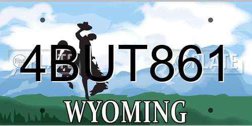 4BUT861 Wyoming License Plate
