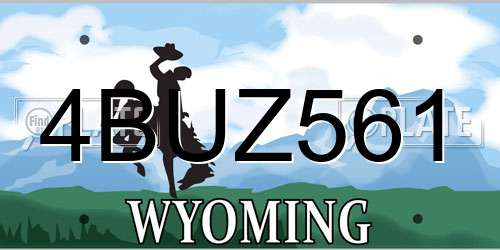 4BUZ561 Wyoming License Plate