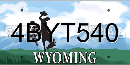4BYT540 Wyoming License Plate