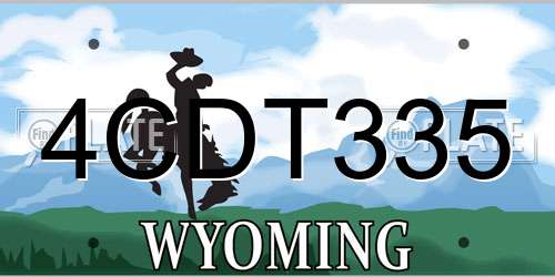 4CDT335 Wyoming License Plate