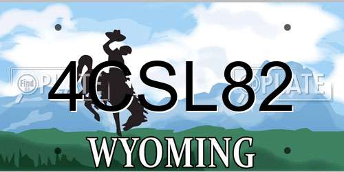 4CSL82 Wyoming License Plate