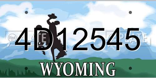4D12545 Wyoming License Plate