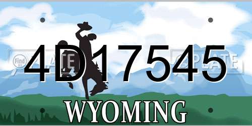 4D17545 Wyoming License Plate