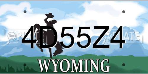 4D55Z4 Wyoming License Plate