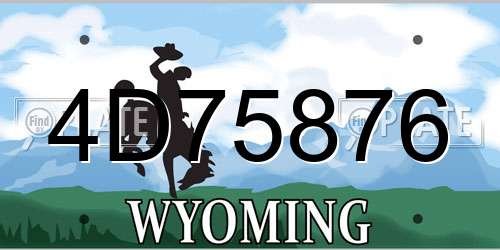 4D75876 Wyoming License Plate
