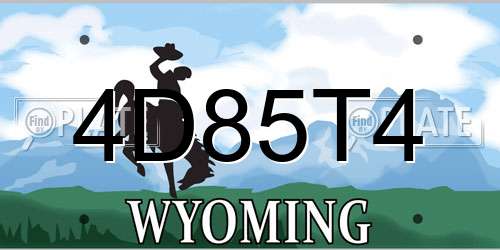 4D85T4 Wyoming License Plate