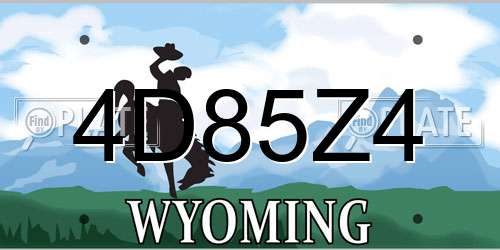4D85Z4 Wyoming License Plate