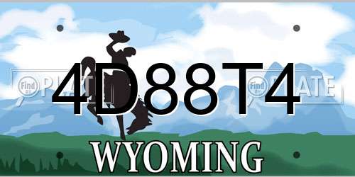 4D88T4 Wyoming License Plate