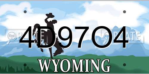 4D97O4 Wyoming License Plate