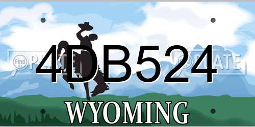 4DB524 Wyoming License Plate