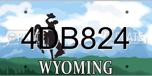 4DB824 Wyoming License Plate