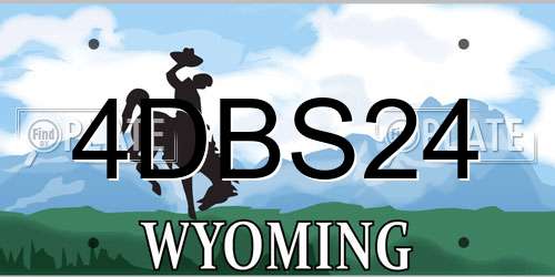 4DBS24 Wyoming License Plate