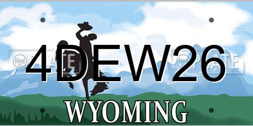 4DEW26 Wyoming License Plate