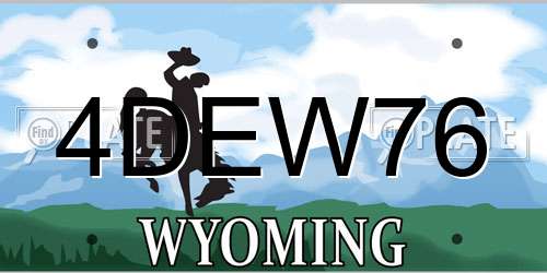 4DEW76 Wyoming License Plate