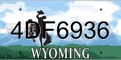 4DF6936 Wyoming License Plate