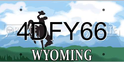 4DFY66 Wyoming License Plate