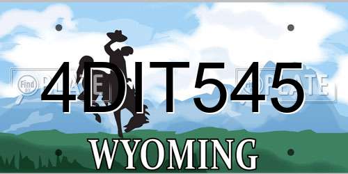 4DIT545 Wyoming License Plate