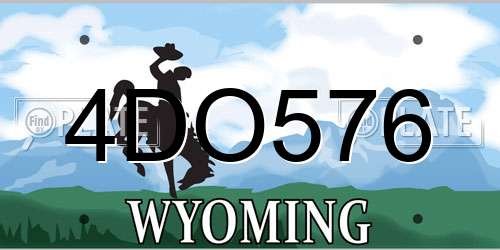 4DO576 Wyoming License Plate