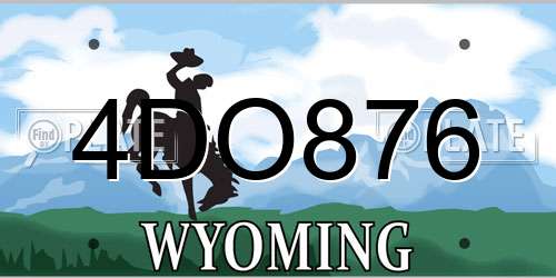 4DO876 Wyoming License Plate