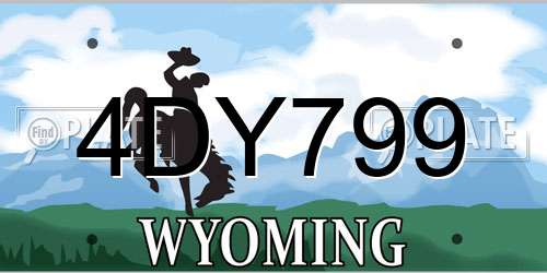 4DY799 Wyoming License Plate