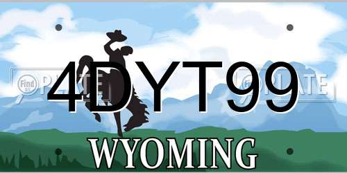 4DYT99 Wyoming License Plate