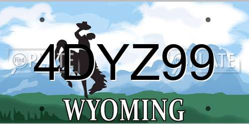4DYZ99 Wyoming License Plate
