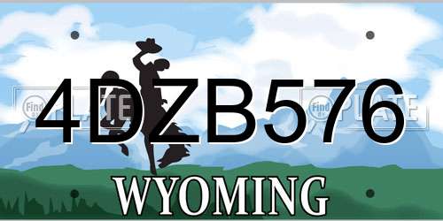4DZB576 Wyoming License Plate