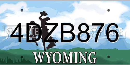 4DZB876 Wyoming License Plate