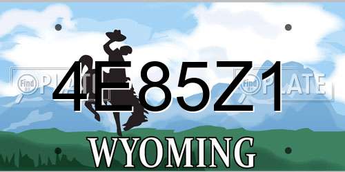 4E85Z1 Wyoming License Plate