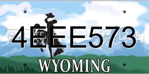 4EEE573 Wyoming License Plate