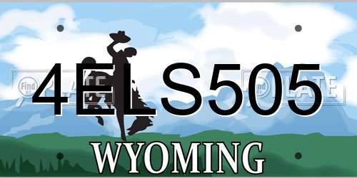 4ELS505 Wyoming License Plate