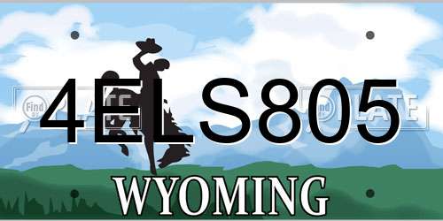 4ELS805 Wyoming License Plate