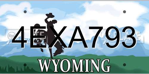 4EXA793 Wyoming License Plate