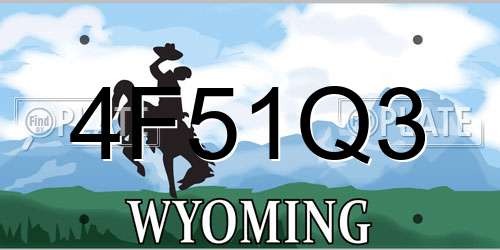 4F51Q3 Wyoming License Plate