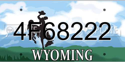 4F68222 Wyoming License Plate