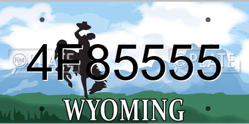 4F85555 Wyoming License Plate