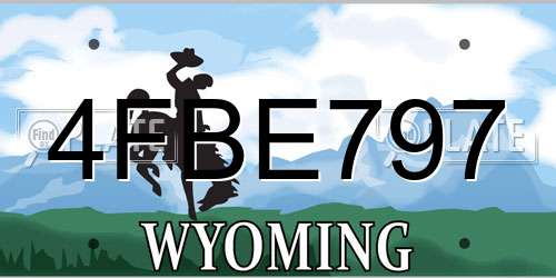 4FBE797 Wyoming License Plate