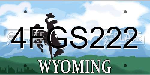 4FGS222 Wyoming License Plate